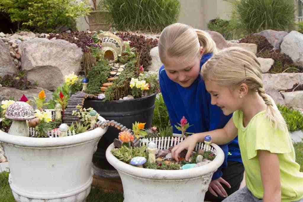 Can You Plant Succulents In Rocks_ Pros & Cons Of Doing So