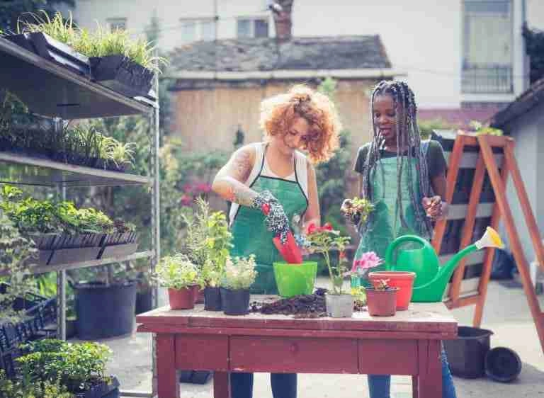 How To Get Rid Of Worms In Potted Plants A Quick Guide Plants Heaven