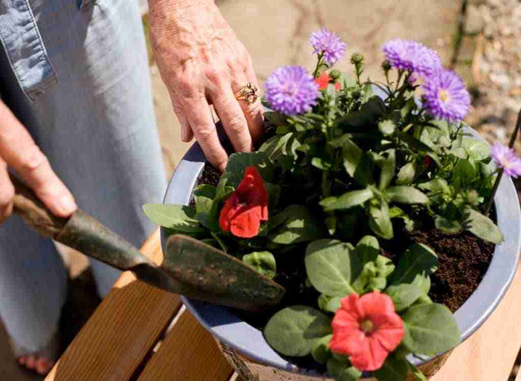 How To Get Rid Of Worms In Potted Plants