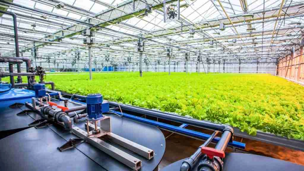 advantages of hydroponics 