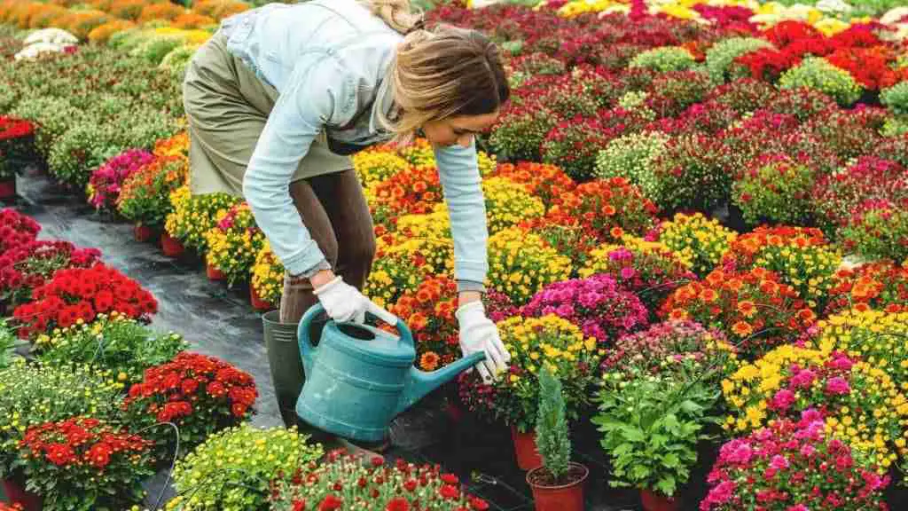 Here's How To Start A Garden From Scratch Plants Heaven