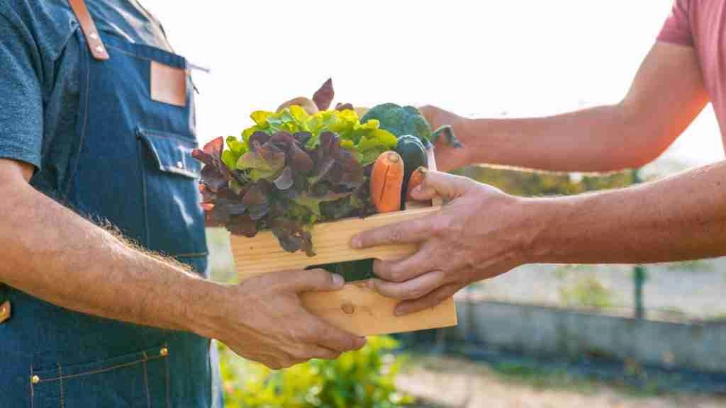 How to Make Money Gardening