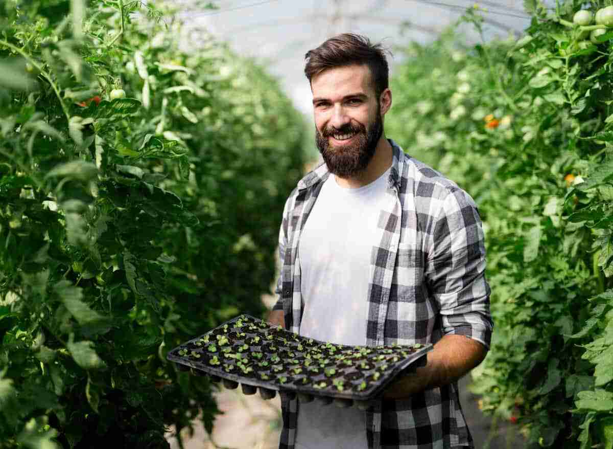 Is Hydroponics Worth It? Here's The Definite Answer! Plants Heaven