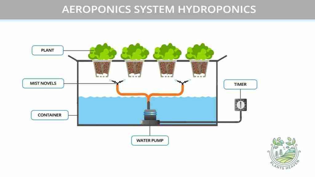 Aeroponics vs Hydroponics