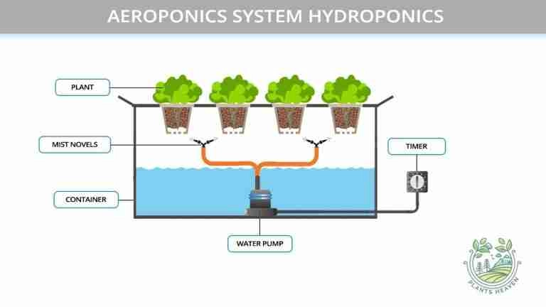 6 Different Types Of Hydroponics (And Their Pros And Cons!) | Plants Heaven