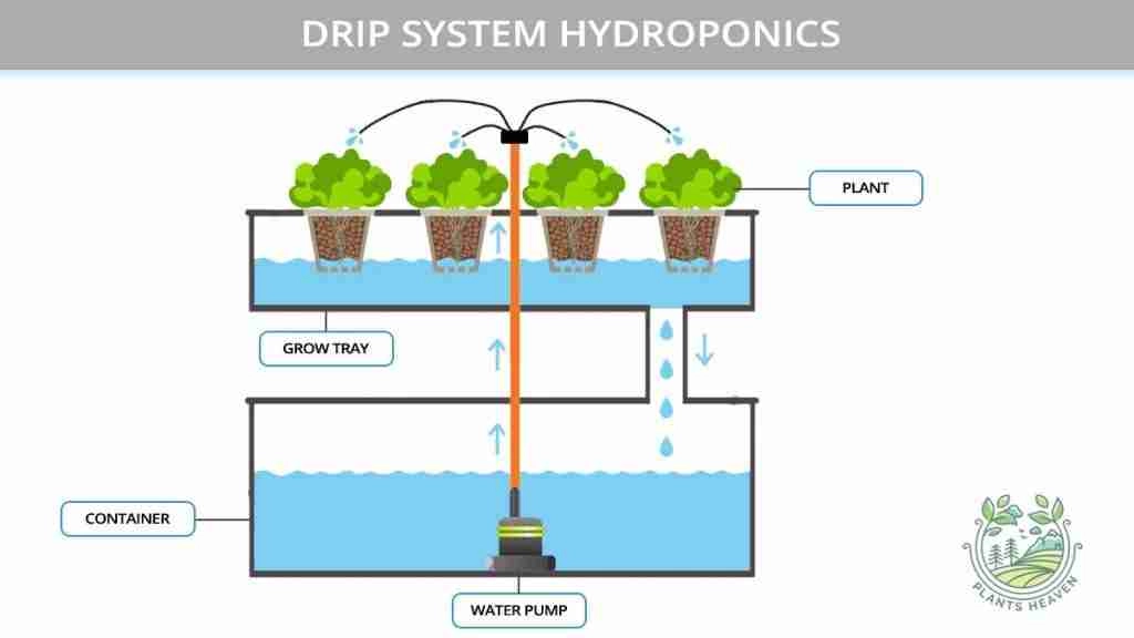 Drip System Hydroponics Pros and Cons