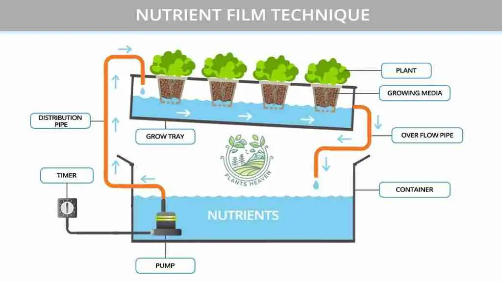 Nutrient Film Technique Advantages And Disadvantages