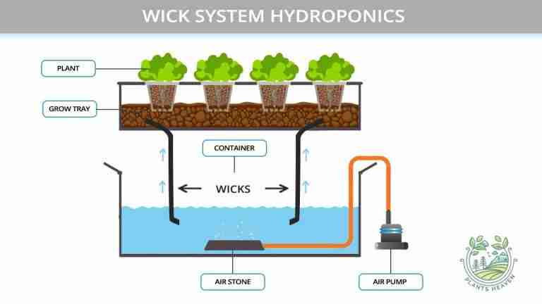 Wick System Hydroponics Pros And Cons And Everything You Need To Know ...