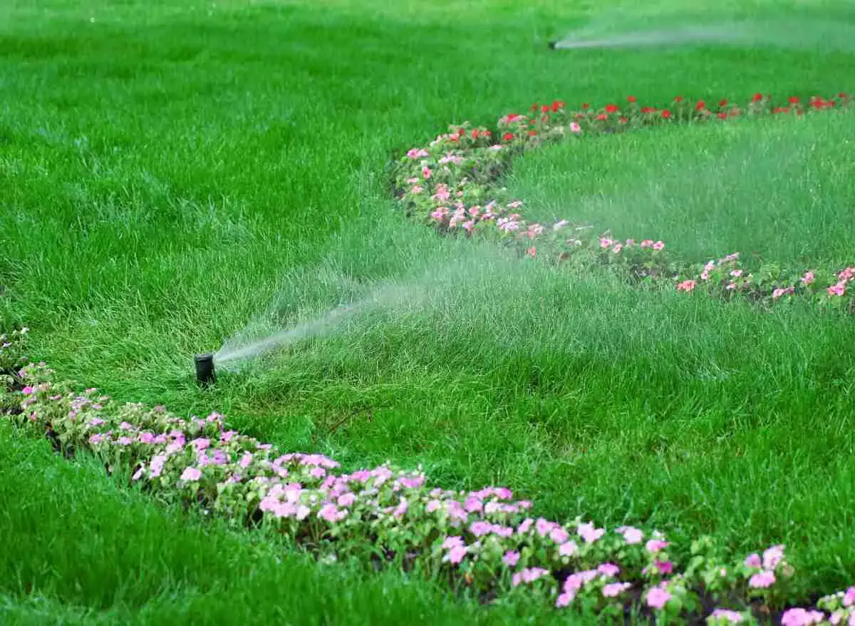 Do You Need A License For A Garden Sprinkler