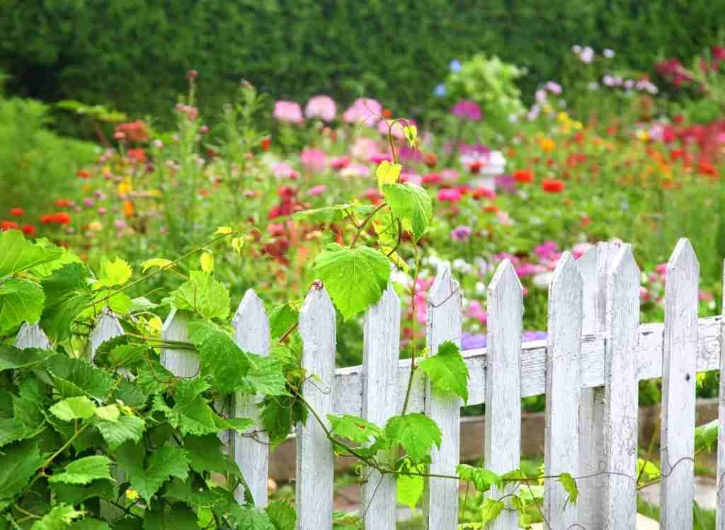 Garden Fence Security Ideas