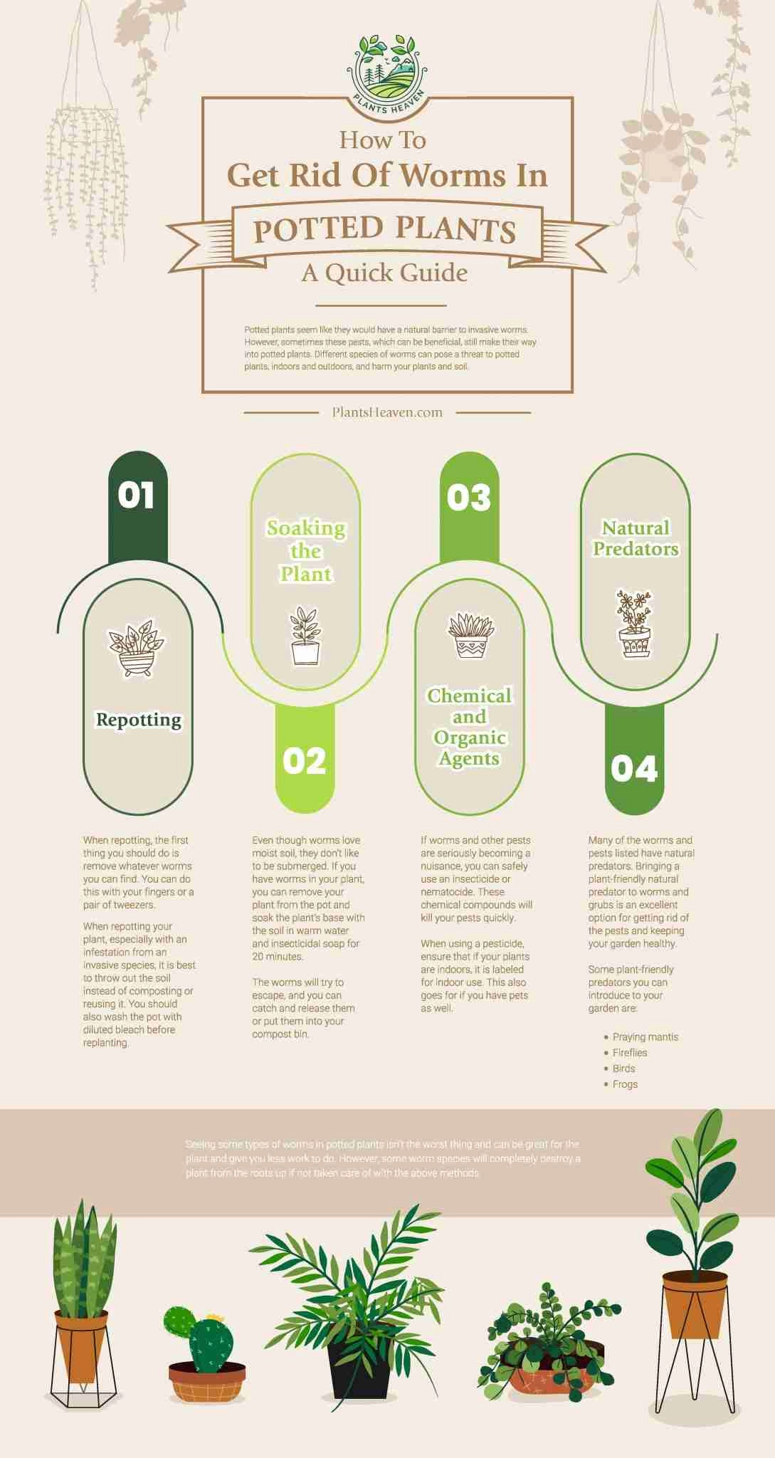 How To Get Rid Of Worms In Potted Plants A Quick Guide Plants Heaven