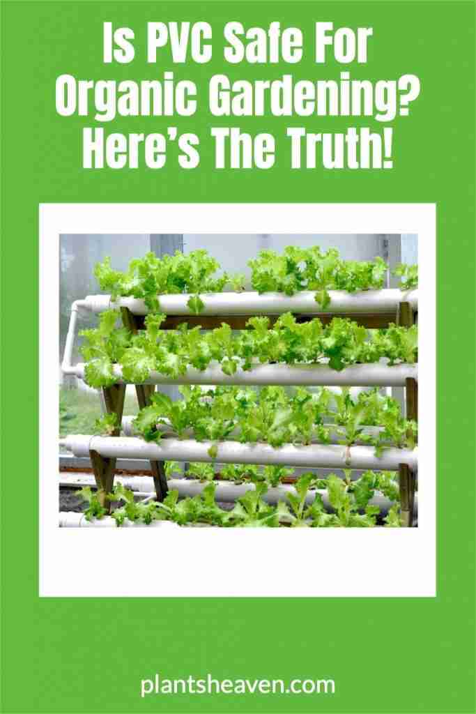 is-pvc-safe-for-organic-gardening-here-s-the-truth-plants-heaven