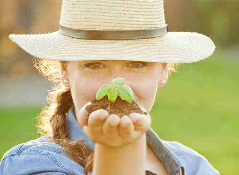 Pros And Cons Of Miracle Grow (And Everything You Must Know!) | Plants ...
