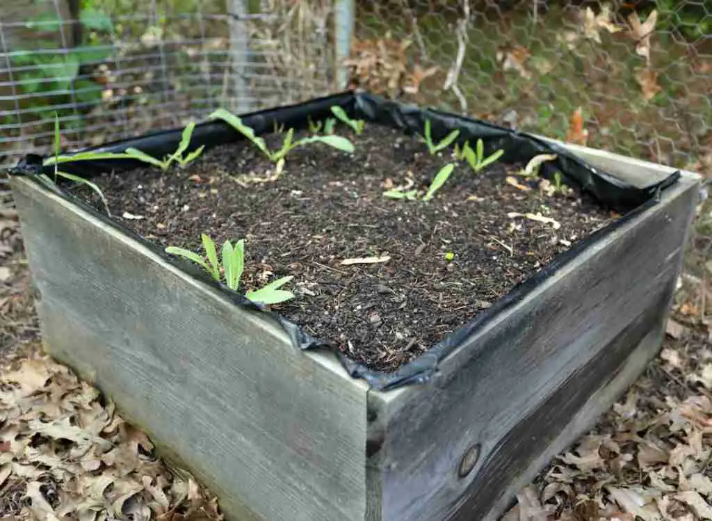 How to Make Gardening Easier for You. 