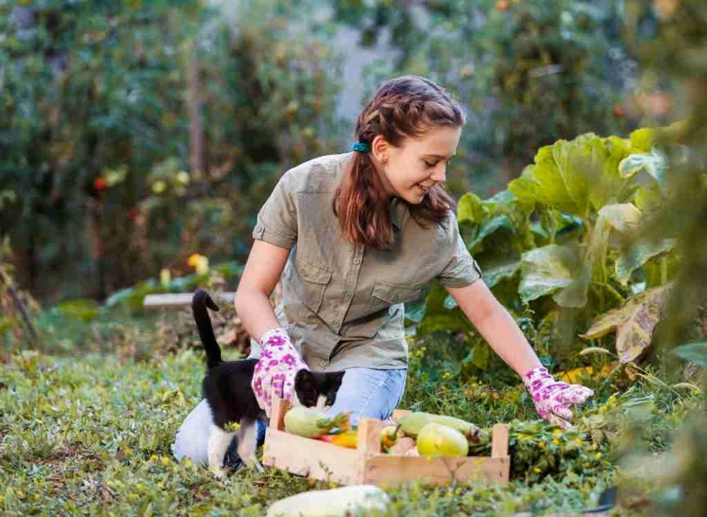 How to Make Gardening Easier for You