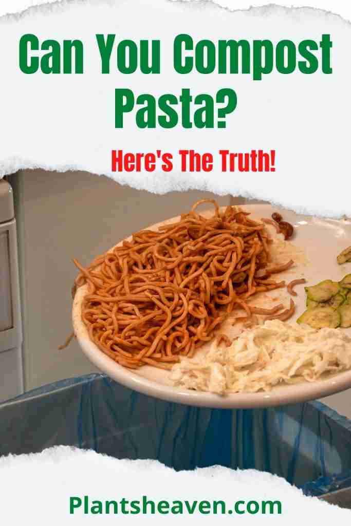 Can You Compost Pasta? Here's The Truth! Plants Heaven