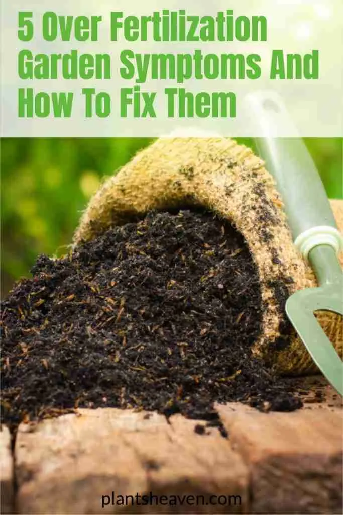 5 Over Fertilization Symptoms To Look Out For In Your Garden Plants