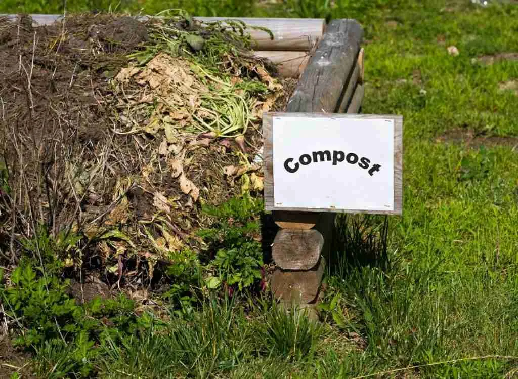 Can You Compost Bread? (Let's find out!)