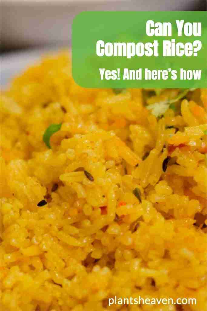 Can You Compost Rice? (Yes! And Here's How) Plants Heaven