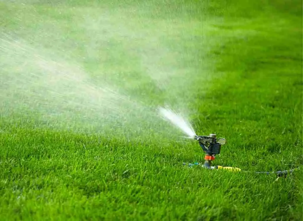 Can You Miss A Day When Watering A Grass Seed? - plantsheaven.com
