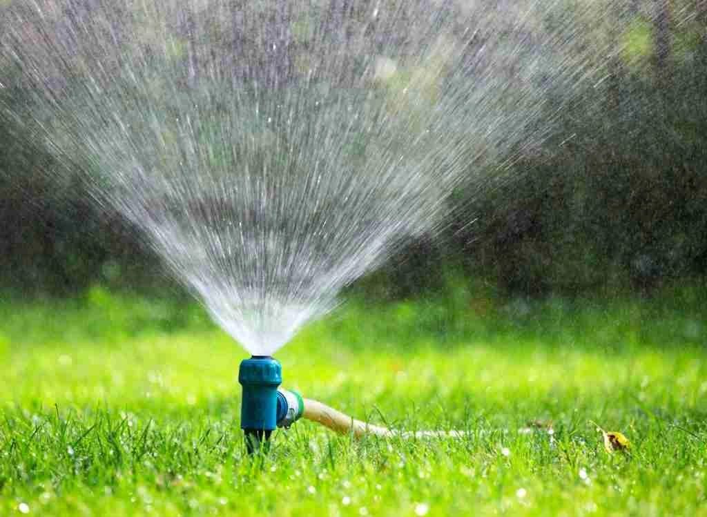Can You Miss A Day When Watering A Grass Seed