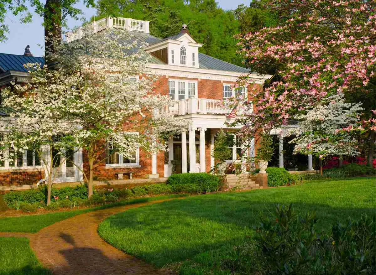 Here's How To Revive A Dogwood Tree Plants Heaven