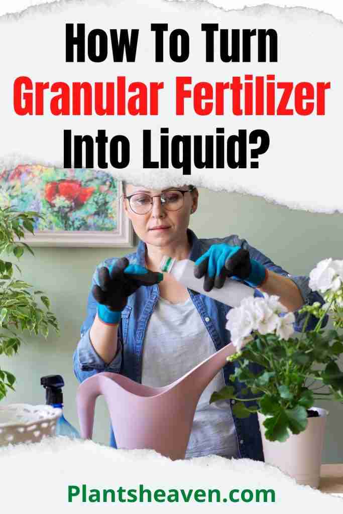 How To Turn Granular Fertilizer Into Liquid A Quick Guide Plants Heaven