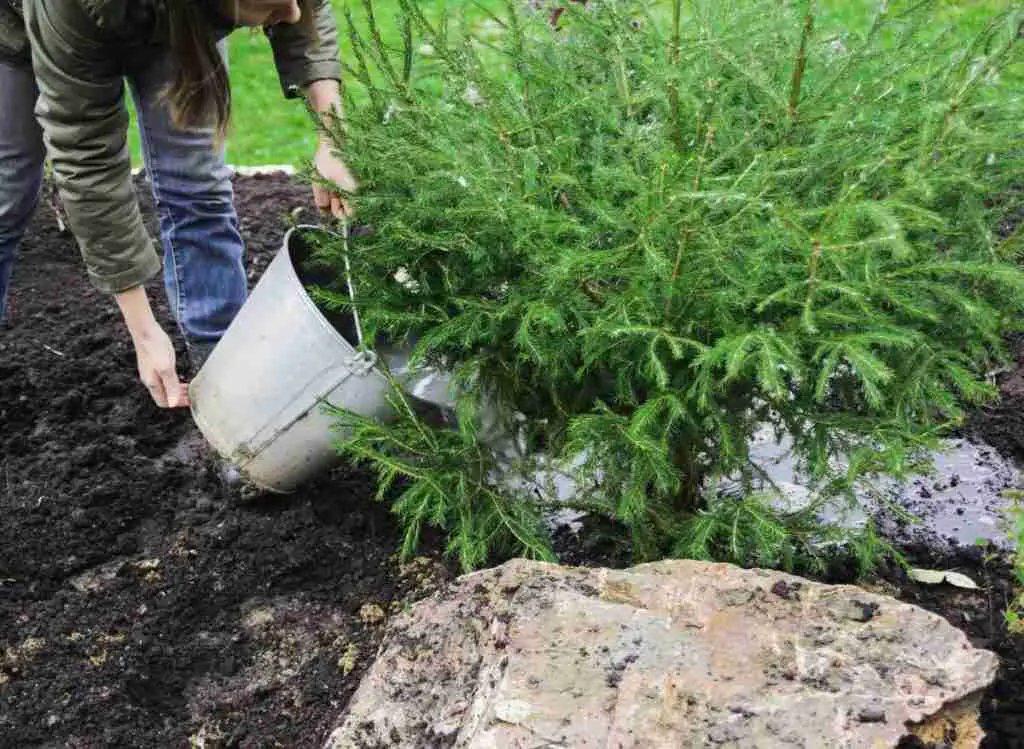 How To Turn Granular Fertilizer Into Liquid