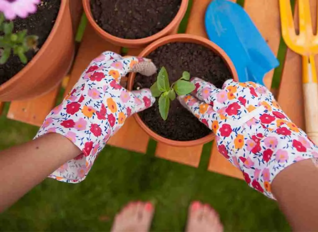 Best Gloves For Removing Brambles