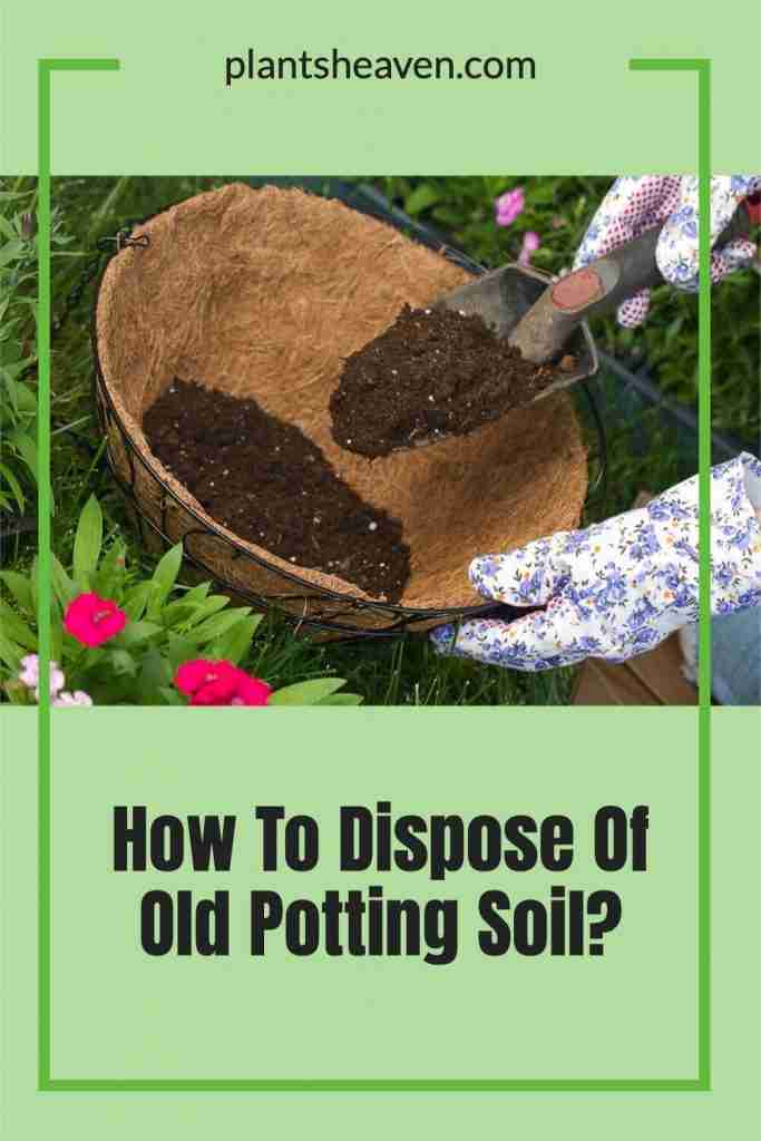How To Dispose Of Old Potting Soil A Quick Guide Plants Heaven