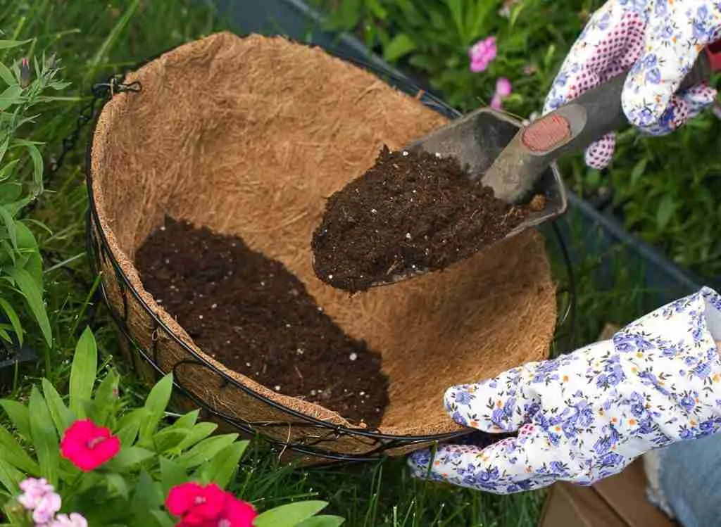 How To Dispose Of Old Potting Soil