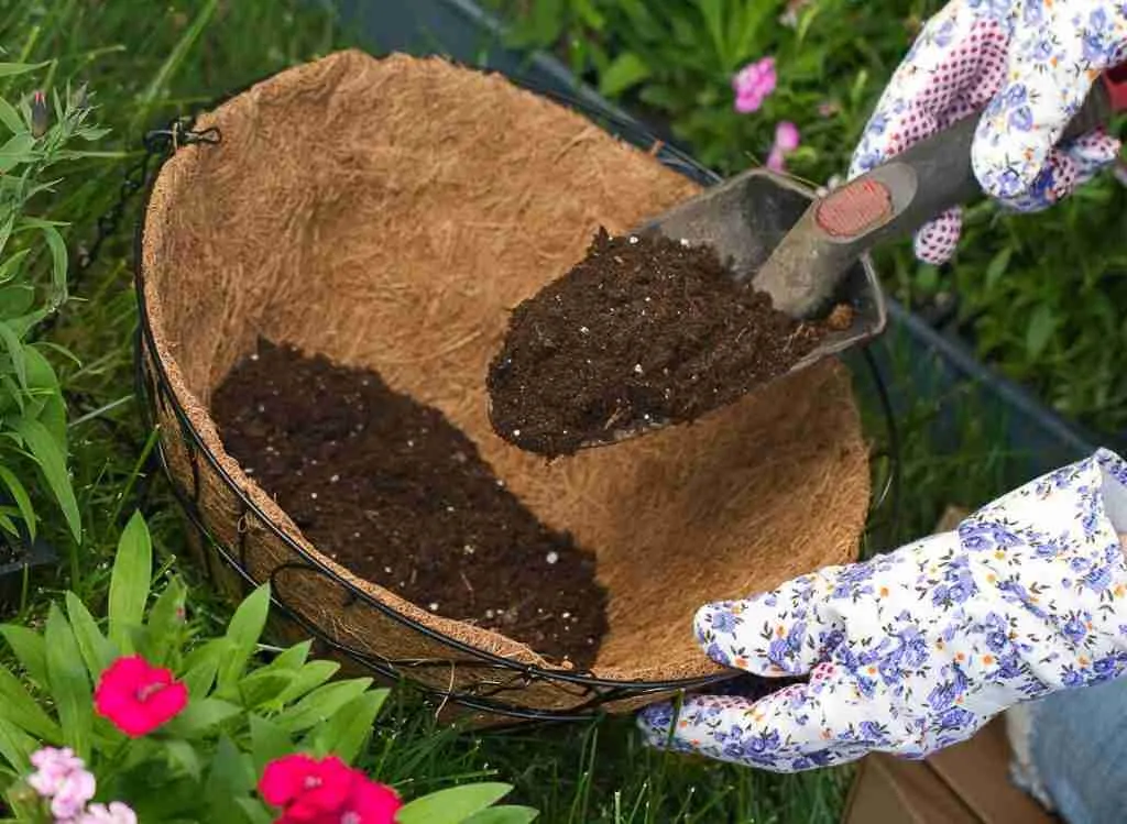 How To Dispose Of Old Potting Soil A Quick Guide Plants Heaven