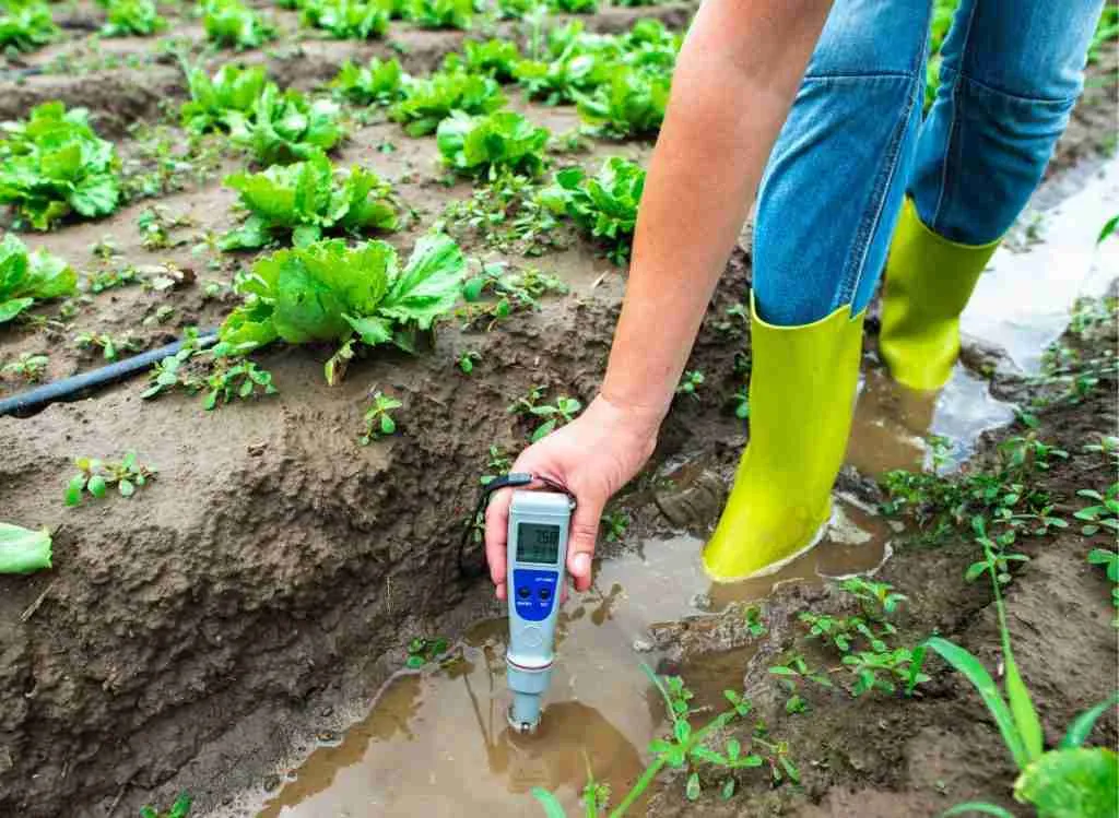 How To Know If Soil Is Acidic