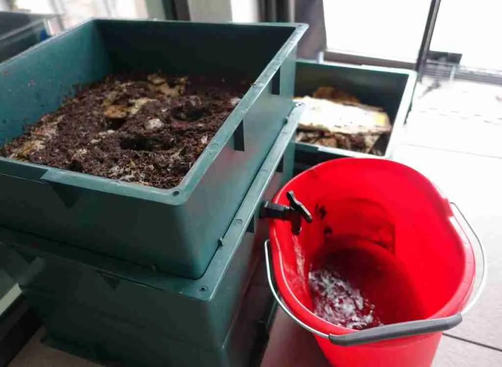 Bokashi Vs Compost