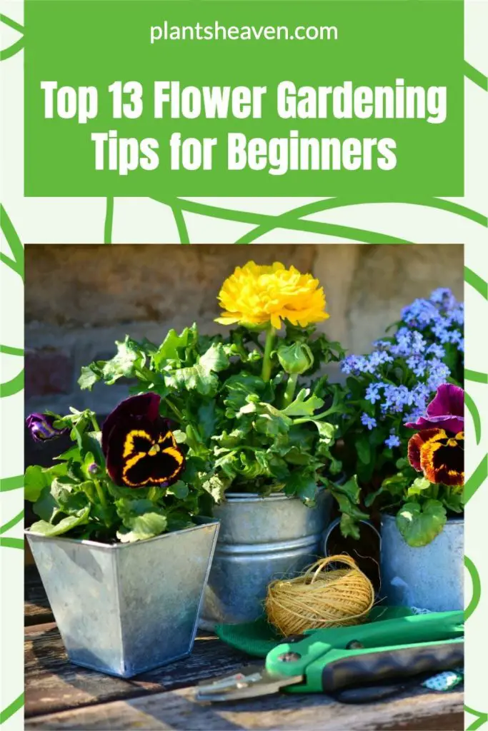 Gardening Tips For Beginners | Gardening Tips, Gardening For Beginners