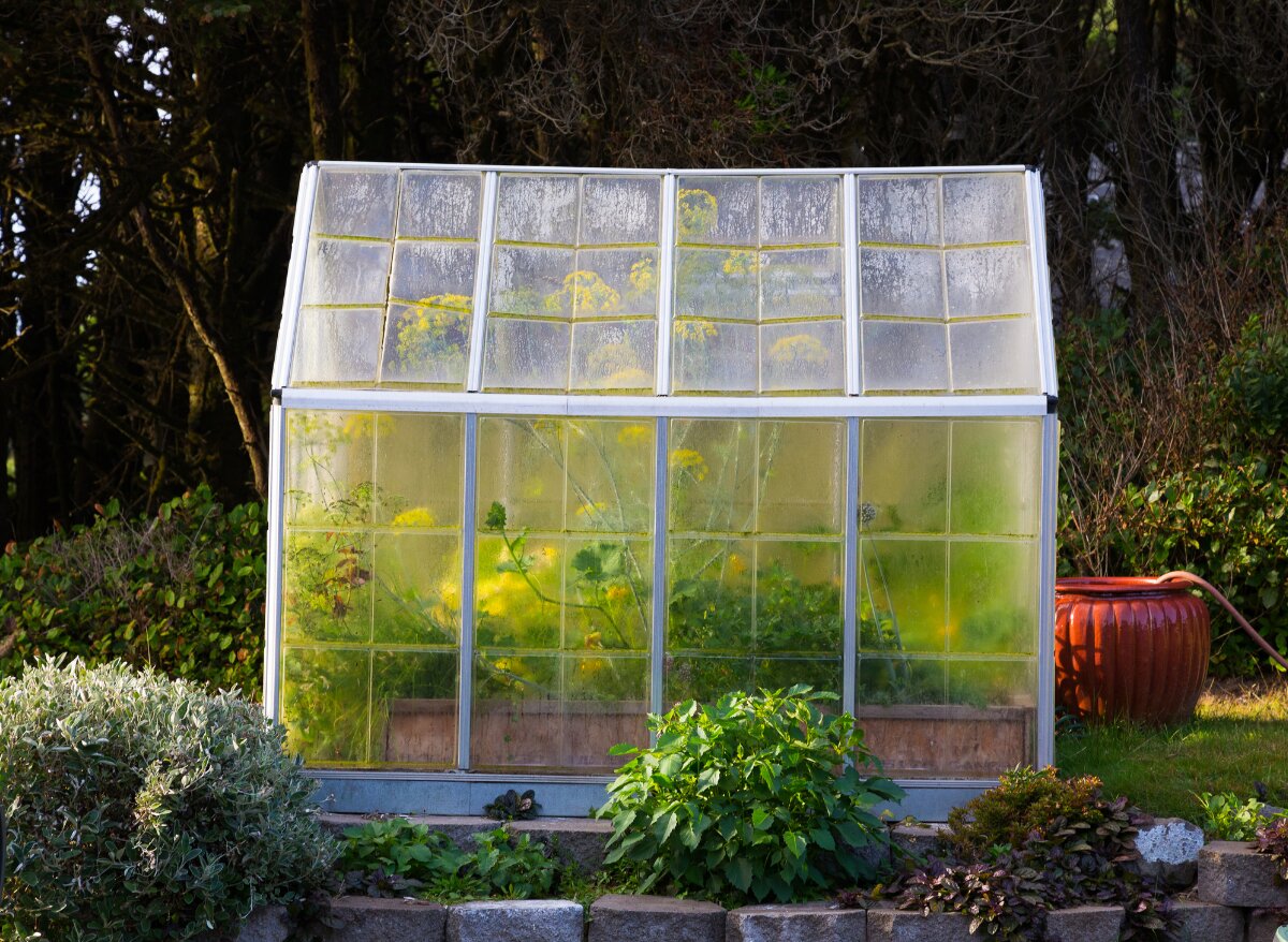 Greenhouse Gardening For Beginners (A Complete Guide) | Plants Heaven