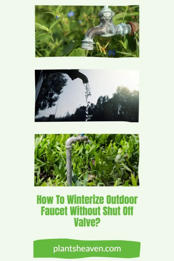 Here’s How To Winterize Outdoor Faucet Without Shut Off Valve Plants