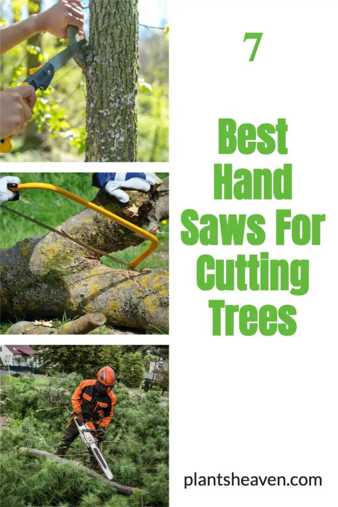 7 Best Hand Saws For Cutting Trees Plants Heaven
