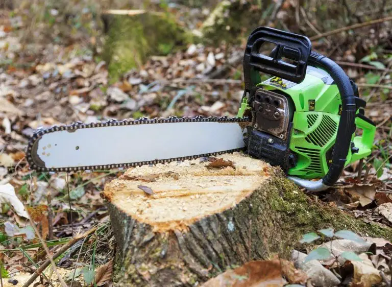 7 Best Hand Saws For Cutting Trees Plants Heaven