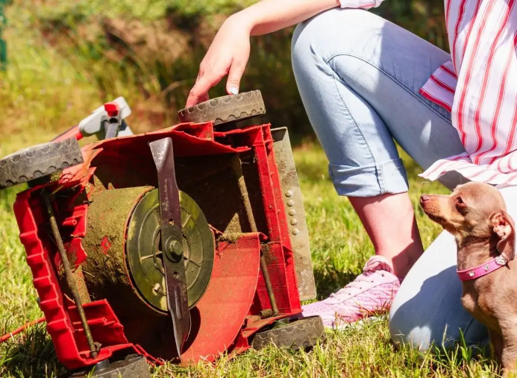 Mulching Blades Vs Regular: Which One Is Better?