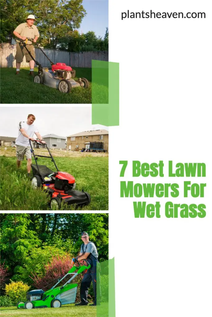 7 Best Lawn Mowers For Wet Grass Plants Heaven