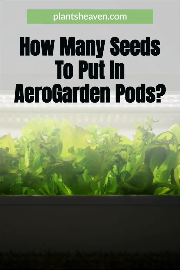 How Many Seeds To Put In Aerogarden Pods