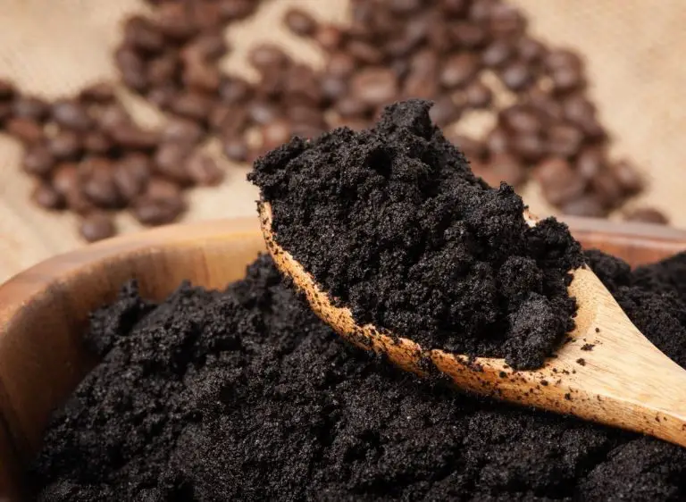 How To Use Coffee Grounds As Fertilizer (Here's How!) Plants Heaven