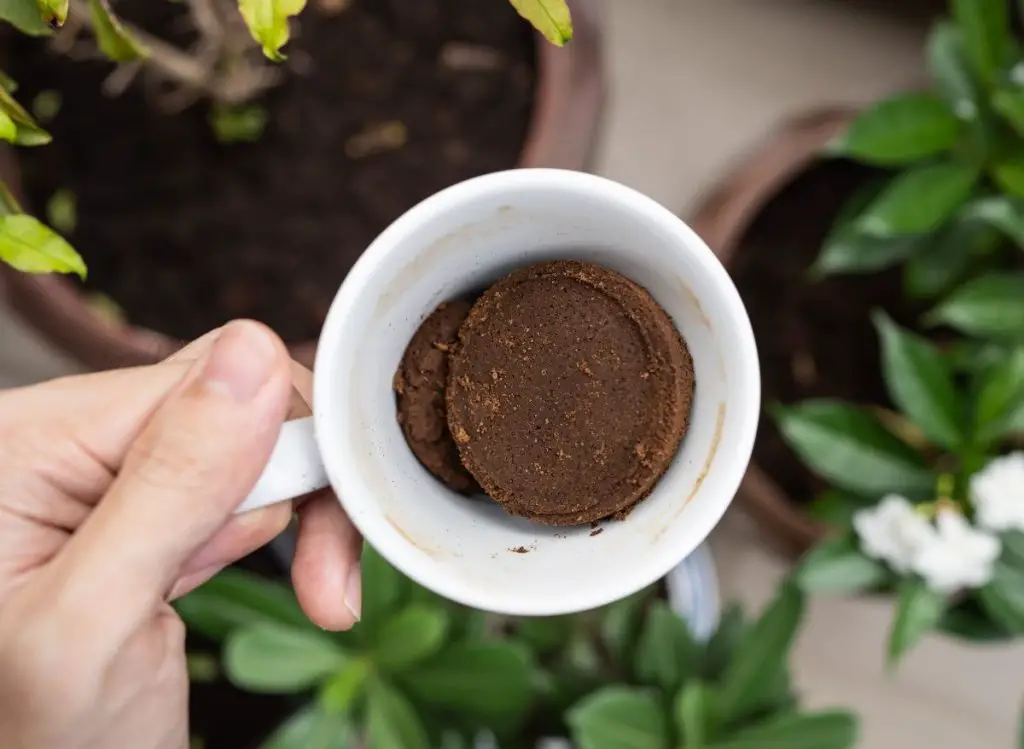 research about coffee grounds