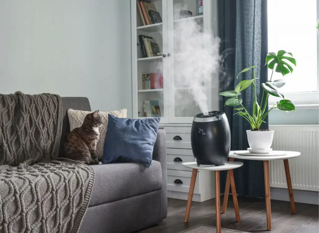 5 Best Humidifiers For Plants Health