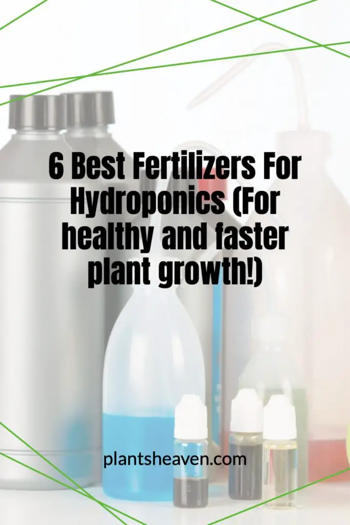 6 Best Fertilizers For Hydroponics (For Healthy And Faster Plant Growth