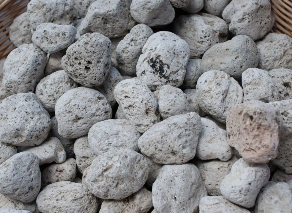 Perlite Vs Pumice - Which One Is Better