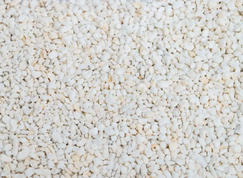 Perlite Vs. Pumice - Which One Is Better