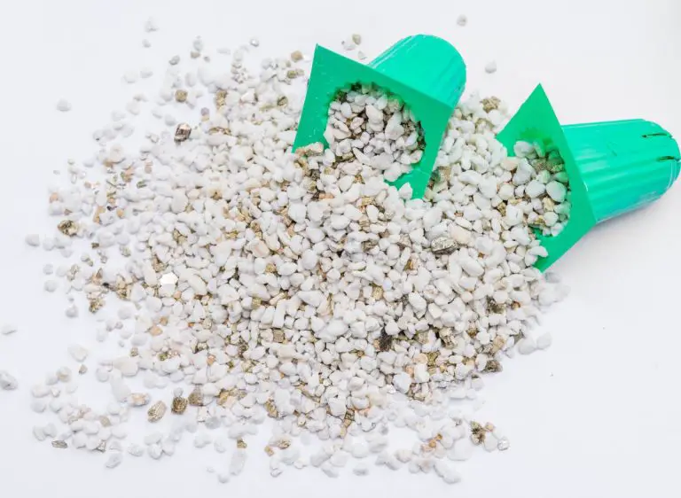 Perlite Vs. Vermiculite Hydroponics What Are The Differences? Plants