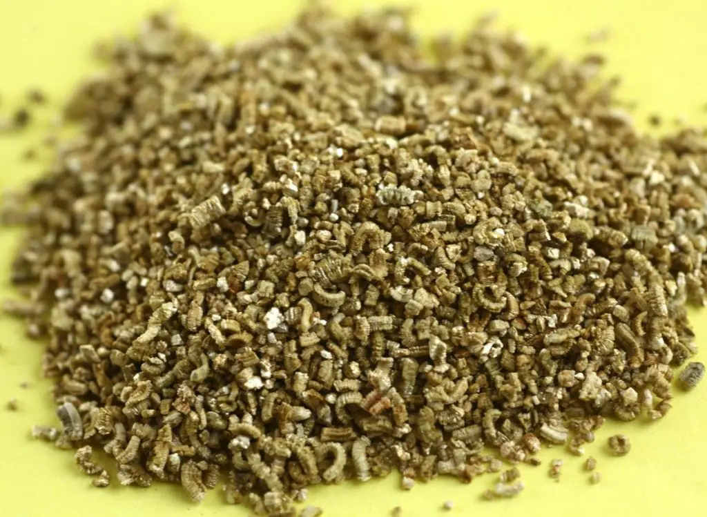 Perlite Vs. Vermiculite Hydroponics: What Are The Differences?